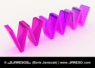 3D WWW tekst lavet af glas i pink farveskema