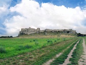 Field weg naar Spis Castle in de zomer