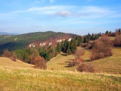 Pola jesienią w Tupa Skala, na Słowacji