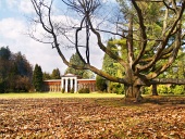 Hösten park med massiv träd och arboretum i Turcianska Stiavnicka, Slovakien