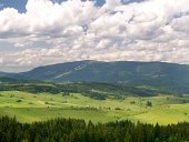 Gozd in Kubínska Hola, Slovaška