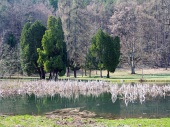 Park and lake in Turcianska Stiavnicka