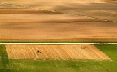 Aerial view of fields in summer