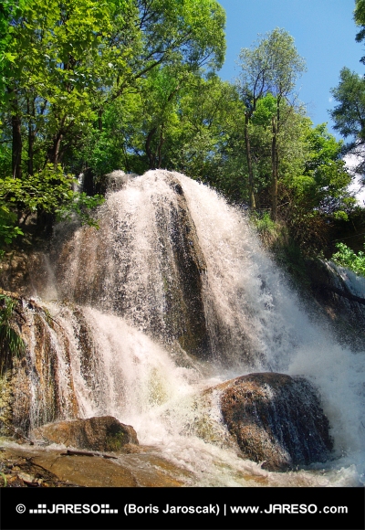 Мощен водопад в зелената гора