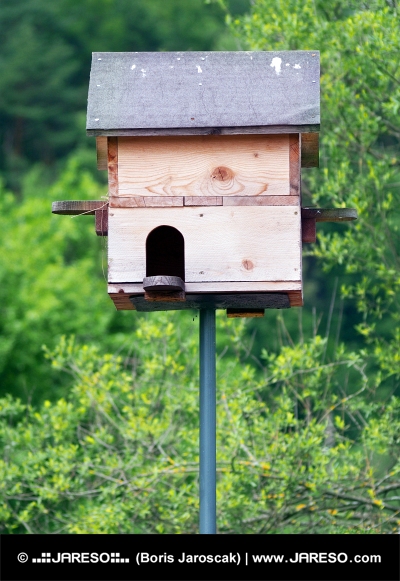 Дървена къщичка за птици с три входа