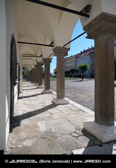 Стълбове на аркадата на кметството на Левоча