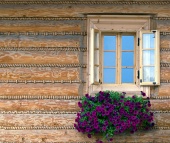 Прозорец и цветя