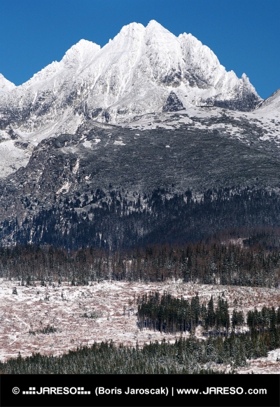 Toppe af de høje Tatra om vinteren
