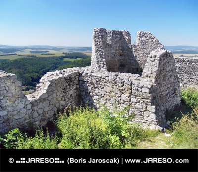 Ruinerede mure af slottet Cachtice om sommeren