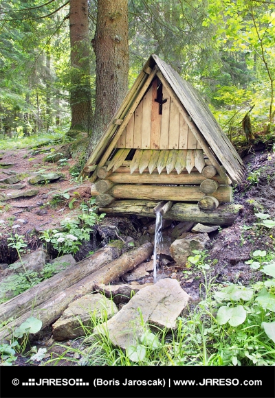 Træhytte med naturlig vandstrøm i skoven
