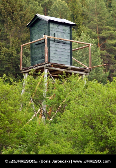Vagttårn i dyb skov