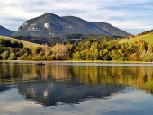 Bakke reflekteret i Liptovska Mara søen i løbet af efteråret i Slovakiet