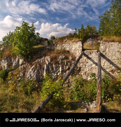 Ruinen des Schlosses von Liptov, Slovakia