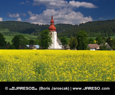 Gelbes Feld und alten Kirche in Liptovske Matiasovce, Slowakei