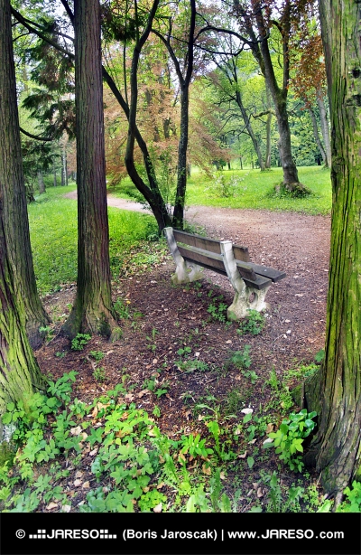 Bench in grünen Park