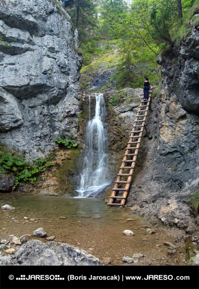 Wasserfall und Leiter in Kvačianska Valley