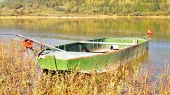 Grünes Fischerboot im Schilf