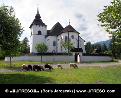 Iglesia gótica en Pribylina con ovejas