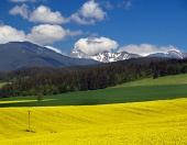 Pradera amarilla y montañas en Liptov, Eslovaquia