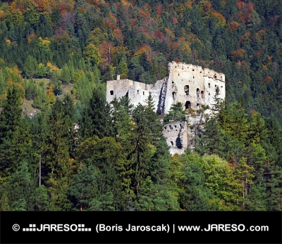 Forêt et ruines du château de Likava en Slovaquie