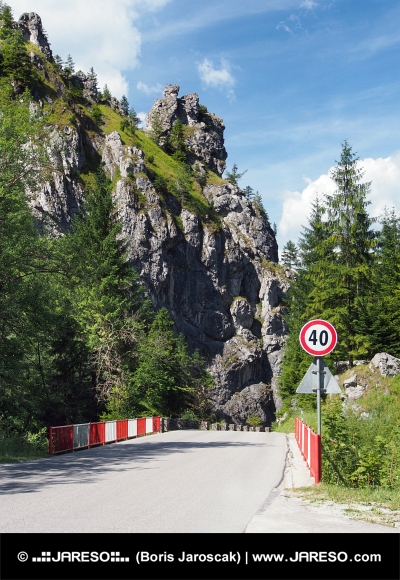 Route avec pont vers la vallée de Vratna, Slovaquie