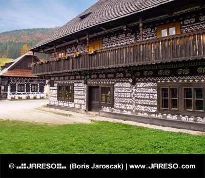 Maisons folkloriques uniques à Cicmany, Slovaquie