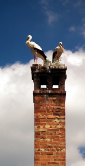 Deux cigognes sur la cheminée