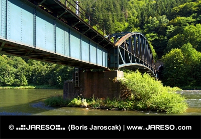 स्लोवाकिया में गर्मियों के दौरान Strecno गांव के निकट रेल पुल