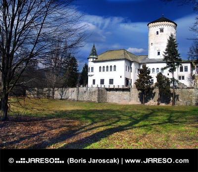 Zilina, स्लोवाकिया में Budatin महल और पार्क