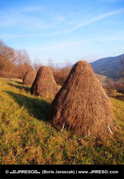 तीन haystacks घास का मैदान पर तैयार