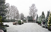 Winter panorama of our garden from Tuesday of this week
