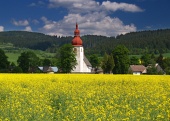 Campo giallo e vecchia chiesa a Liptovske Matiasovce, Slovacchia