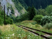 緑の風景の中に古い鉄道