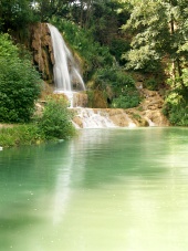 緑の森の中の滝
