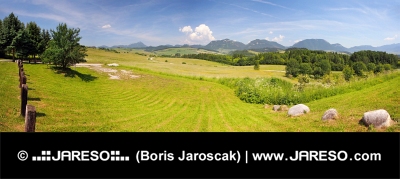 Een panorama van Bobrovnik, Liptov, Slowakije