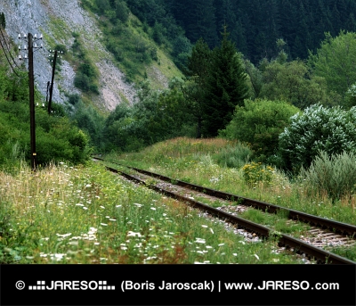 Oude spoorlijn in groen landschap