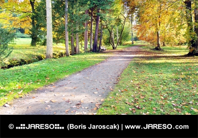 Herfst uitzicht op kleurrijk park in Turcianska Stiavnicka, Slowakije