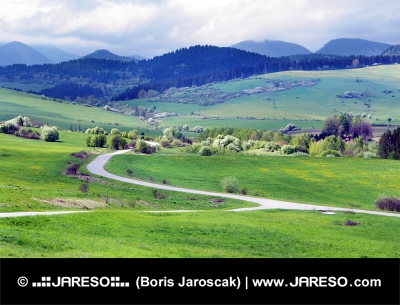Groene weiden boven het dorp Bobrovnik
