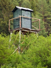 Uitkijktoren in diep bos