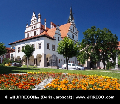 Blommor och stadshuset i Levoca, Slovakien