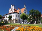 Blommor och stadshuset i Levoca, Slovakien