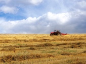 Traktor na rumenem polju
