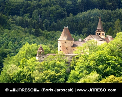 Lower part of Orava Castle hidden in forest