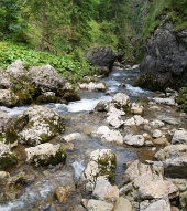 Mountain stream in Kvacianska Valley, Slovakia