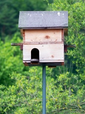 Wooden birdhouse with three entrances